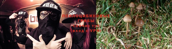 первитин Алексин