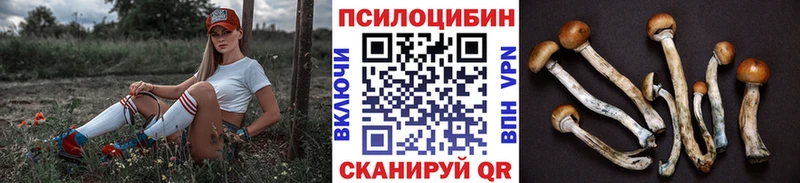 Псилоцибиновые грибы Psilocybe  Астрахань 