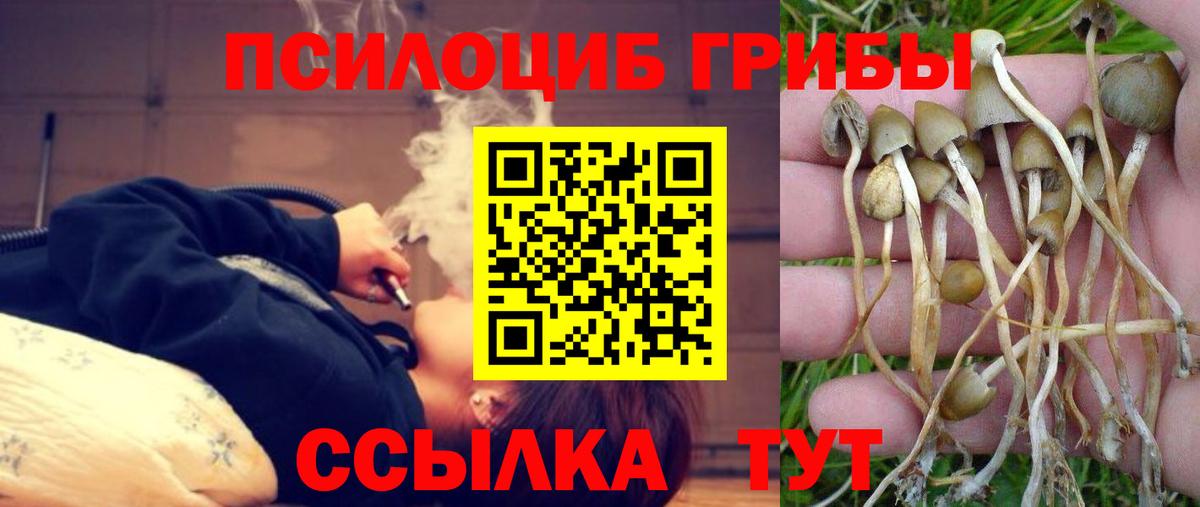 Псилоцибиновые грибы прущие грибы  Галлюциногенные грибы прущие грибы  Астрахань  Вход с VPN 