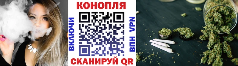 Конопля гибрид  купить наркотики цена  mega вход  Астрахань 