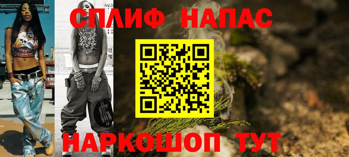 Каннабис план Астрахань